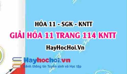 Giải Hóa 11 trang 114 Kết nối tri thức SGK